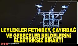 Leylekler Fethibey, Çayırbağ ve Gebeceler Beldelerini elektriksiz bıraktı