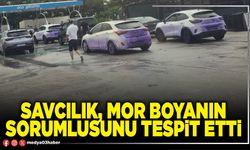 Savcılık, mor boyanın sorumlusunu tespit etti