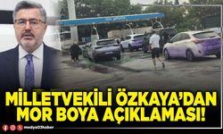 Milletvekili Özkaya’dan mor boya açıklaması!