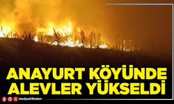 Anayurt Köyünde alevler yükseldi