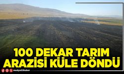 100 dekar tarım arazisi küle döndü