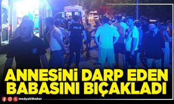 Annesini darp eden babasını bıçakladı
