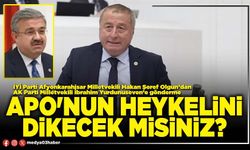 Apo'nun heykelini dikecek misiniz?