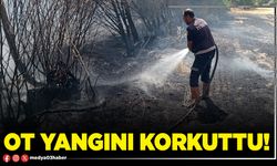 Ot yangını korkuttu!