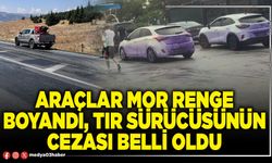 Araçlar mor renge boyandı, tır sürücüsünün cezası belli oldu