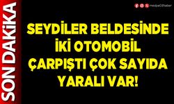 Seydiler Beldesinde iki otomobil çarpıştı çok sayıda yaralı var!