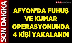 Fuhuş ve kumar operasyonunda 4 kişi yakalandı