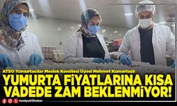 Yumurta fiyatlarına kısa vadede zam beklenmiyor!