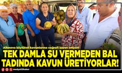 Tek damla su vermeden bal tadında kavun üretiyorlar!