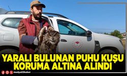 Yaralı bulunan puhu kuşu koruma altına alındı
