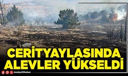 Cerityaylasında alevler yükseldi
