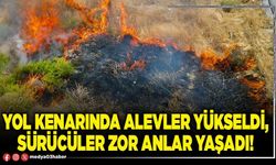 Yol kenarında alevler yükseldi, sürücüler zor anlar yaşadı!