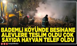 Bademli köyünde besihane alevlere teslim oldu çok sayıda hayvan telef oldu