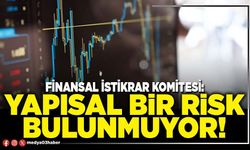 Finansal istikrar komitesi: Yapısal bir risk bulunmuyor!