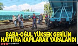 Baba-oğul yüksek gerilim hattına kapılarak yaralandı