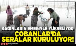 Kadınların emeğiyle yükseliyor: Çobanlar’da seralar kuruluyor!