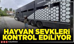 Hayvan sevkleri kontrol ediliyor