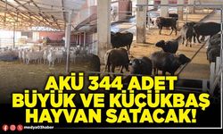 AKÜ 344 adet büyük ve küçükbaş hayvan satacak!