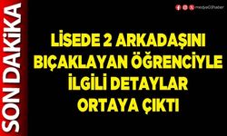 Lisede 2 arkadaşını bıçaklayan öğrenciyle ilgili detaylar ortaya çıktı