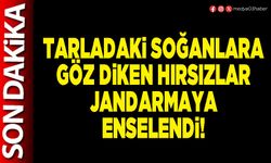Tarladaki soğanlara göz diken hırsızlar jandarmaya enselendi!