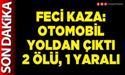 Feci kaza: Otomobil yoldan çıktı 2 ölü, 1 yaralı