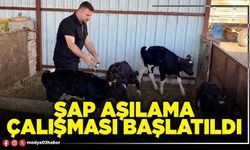 Şap aşılama çalışması başlatıldı