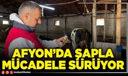 Afyon’da şapla mücadele sürüyor