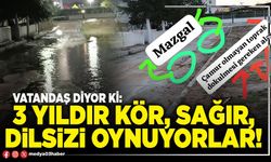 3 yıldır kör, sağır, dilsizi oynuyorlar!
