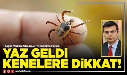 Yaz geldi kenelere dikkat!