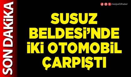 Susuz Beldesi’nde iki otomobil çarpıştı
