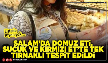 Salam’da domuz eti, sucuk ve kırmızı et’te tek tırnaklı tespit edildi