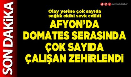 Afyon’da domates serasında çok sayıda çalışan zehirlendi