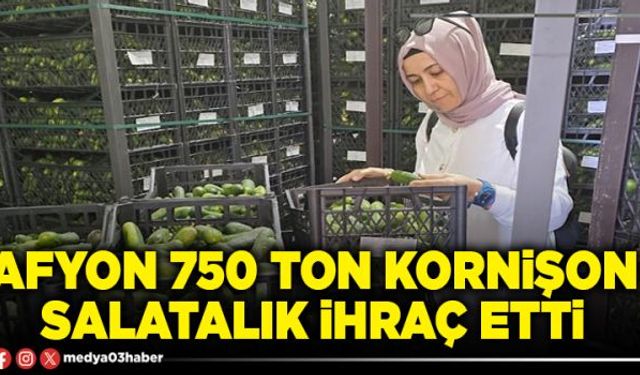 Afyon 750 ton kornişon salatalık ihraç etti