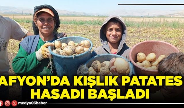 Afyon’da kışlık patates hasadı başladı