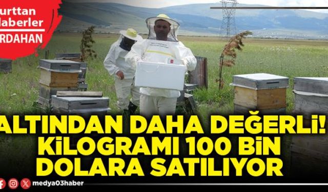 Altından daha değerli! Kilogramı 100 bin dolara satılıyor