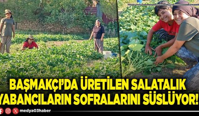 Başmakçı’da üretilen salatalık yabancıların sofralarını süslüyor!