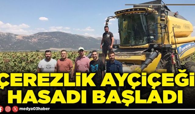 Cerezlik ayçiçeği hasadı başladı