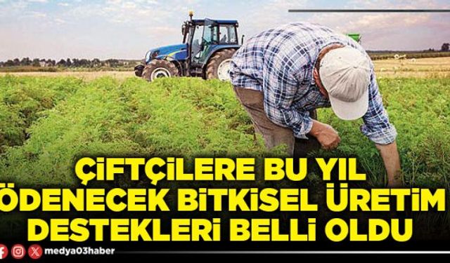 Çiftçilere bu yıl ödenecek bitkisel üretim destekleri belli oldu