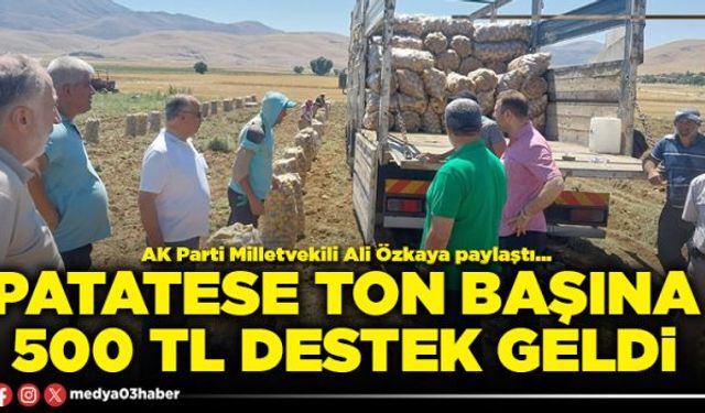 Patatese ton başına 500 TL destek geldi