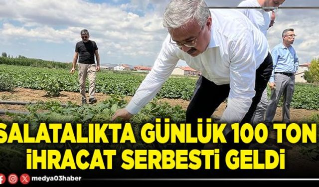 Salatalıkta günlük 100 ton ihracat serbesti geldi