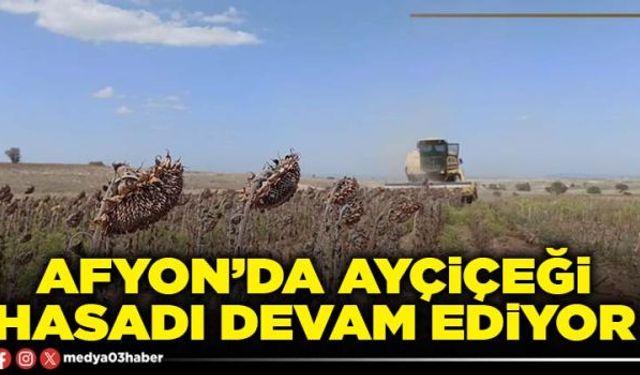 Afyon’da ayçiçeği hasadı devam ediyor