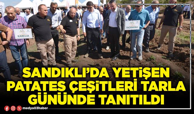 Sandıklı’da yetişen patates çeşitleri tarla gününde tanıtıldı