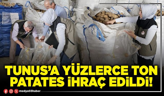 Tunus’a yüzlerce ton patates ihraç edildi!