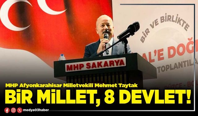 Bir millet, 8 devlet!