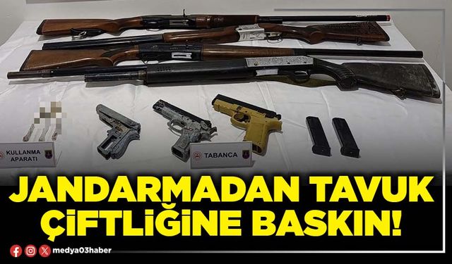 Jandarmadan tavuk çiftliğine baskın!