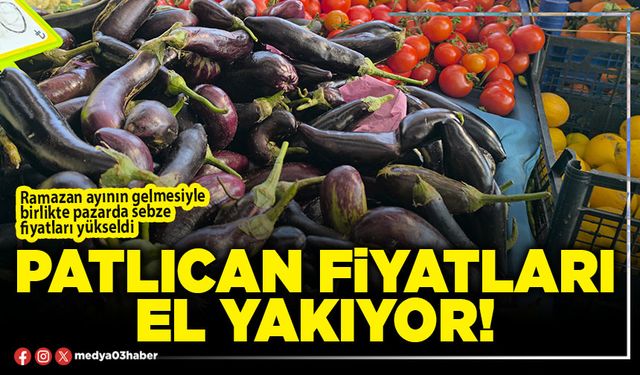 Patlıcan fiyatları el yakıyor!