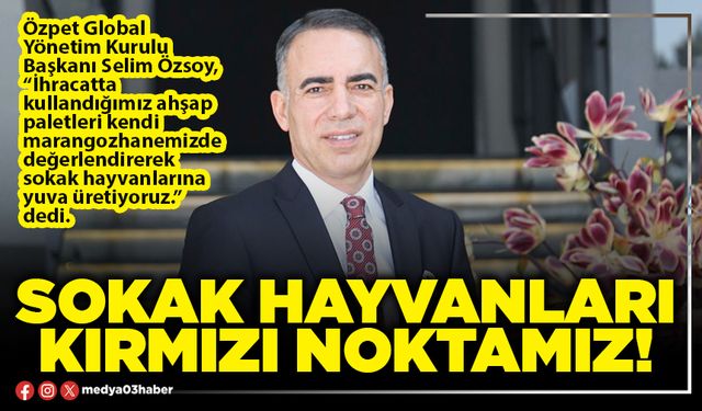 Selim Özsoy: Sokak hayvanları kırmızı noktamız!