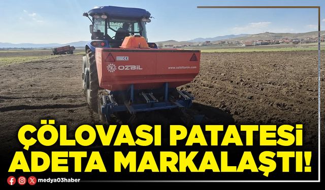 Çölovası patatesi adeta markalaştı!