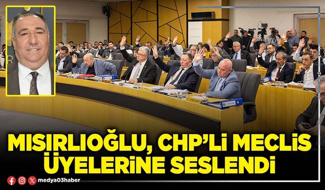 Mısırlıoğlu, CHP’li Meclis üyelerine seslendi