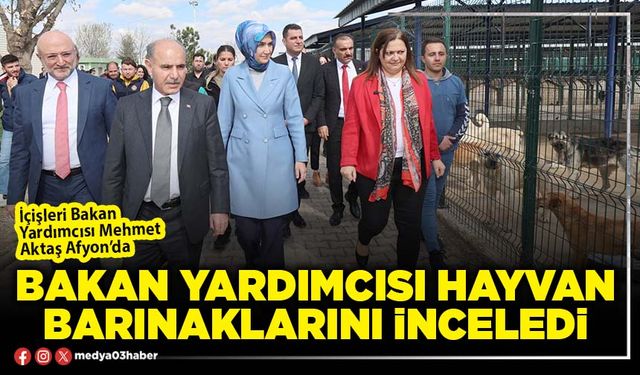 Bakan Yardımcısı hayvan barınaklarını inceledi
